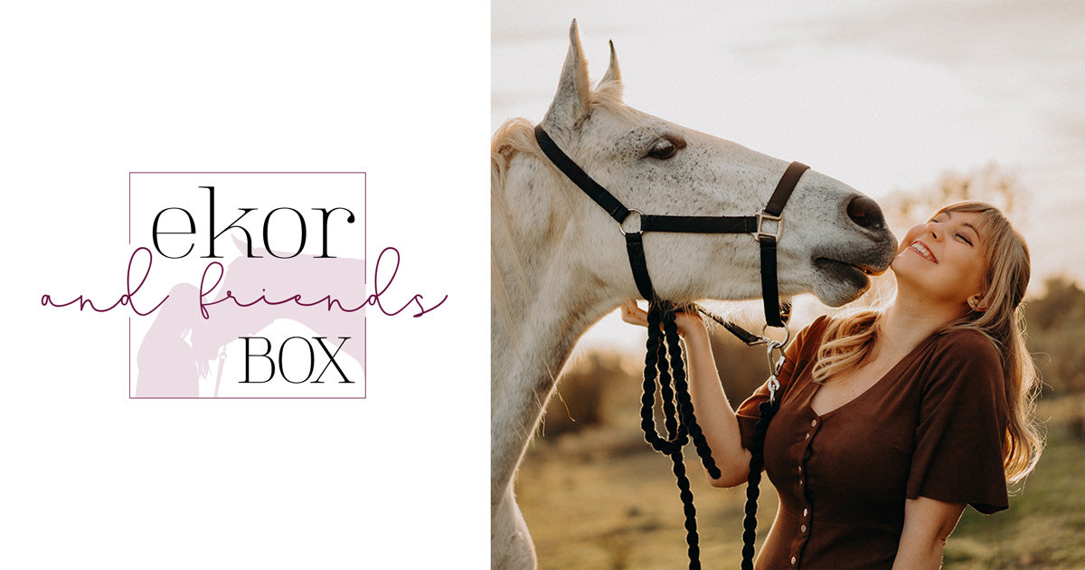 ekor and friends Box » surprise inside
